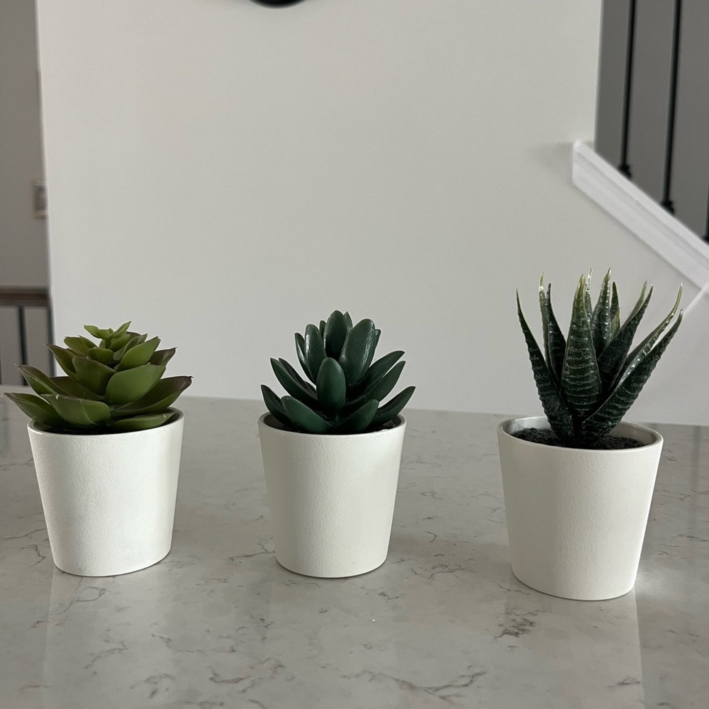 IKEA Succulent Plant Set of 3